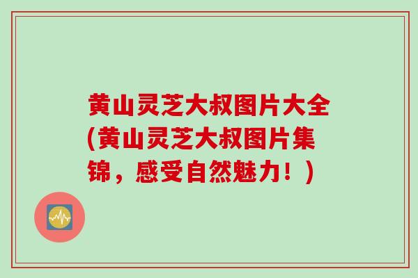 黄山灵芝大叔图片大全(黄山灵芝大叔图片集锦，感受自然魅力！)