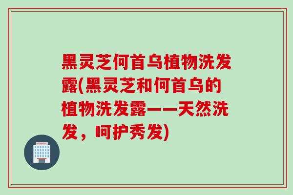 黑灵芝何首乌植物洗发露(黑灵芝和何首乌的植物洗发露——天然洗发，呵护秀发)