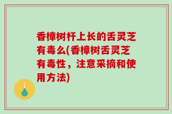 香樟树杆上长的舌灵芝有毒么(香樟树舌灵芝有毒性，注意采摘和使用方法)