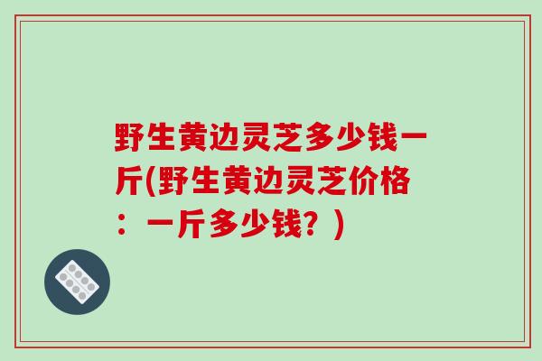 野生黄边灵芝多少钱一斤(野生黄边灵芝价格：一斤多少钱？)
