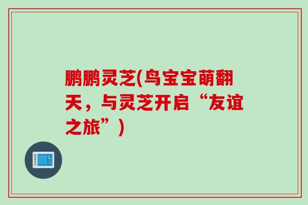 鹏鹏灵芝(鸟宝宝萌翻天，与灵芝开启“友谊之旅”)
