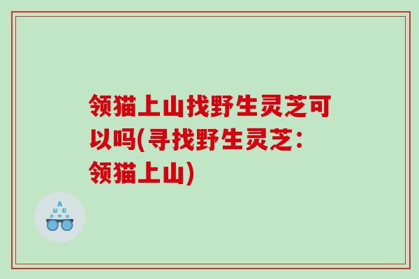 领猫上山找野生灵芝可以吗(寻找野生灵芝：领猫上山)