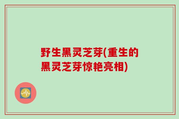 野生黑灵芝芽(重生的黑灵芝芽惊艳亮相)