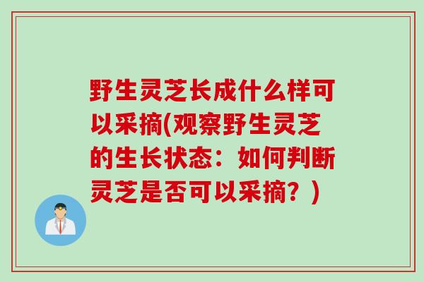 野生灵芝长成什么样可以采摘(观察野生灵芝的生长状态：如何判断灵芝是否可以采摘？)