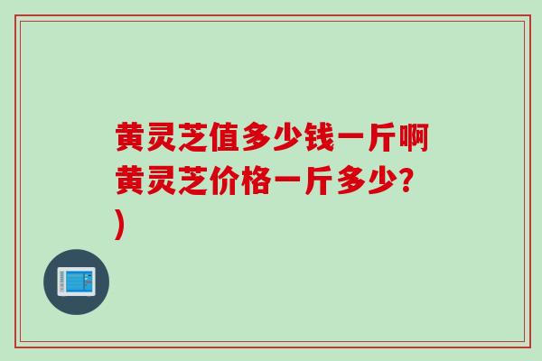 黄灵芝值多少钱一斤啊黄灵芝价格一斤多少？)