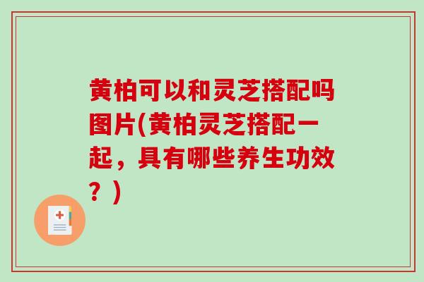 黄柏可以和灵芝搭配吗图片(黄柏灵芝搭配一起，具有哪些养生功效？)