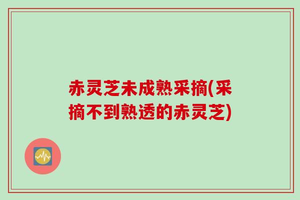 赤灵芝未成熟采摘(采摘不到熟透的赤灵芝)