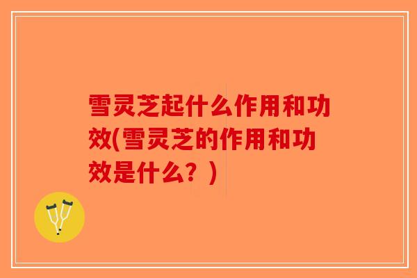 雪灵芝起什么作用和功效(雪灵芝的作用和功效是什么？)