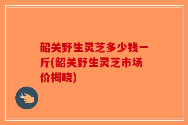 韶关野生灵芝多少钱一斤(韶关野生灵芝市场价揭晓)