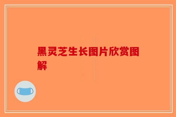 黑灵芝生长图片欣赏图解