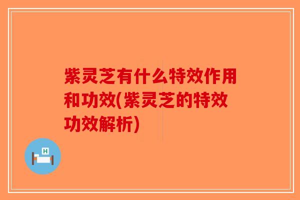 紫灵芝有什么特效作用和功效(紫灵芝的特效功效解析)