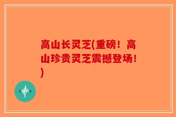 高山长灵芝(重磅！高山珍贵灵芝震撼登场！)