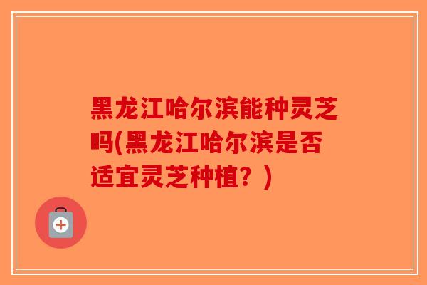 黑龙江哈尔滨能种灵芝吗(黑龙江哈尔滨是否适宜灵芝种植？)