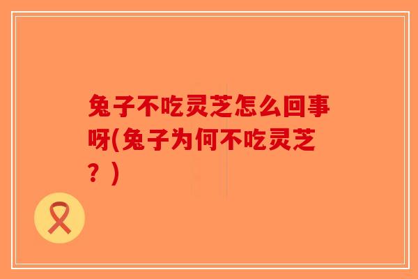兔子不吃灵芝怎么回事呀(兔子为何不吃灵芝？)