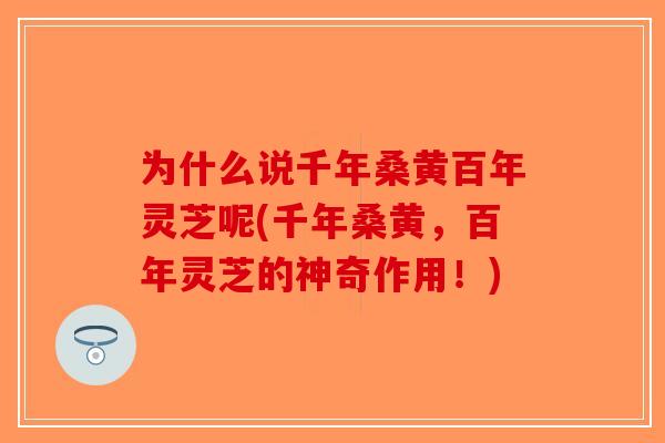 为什么说千年桑黄百年灵芝呢(千年桑黄,百年灵芝的神奇作用!) 为什么说千年桑黄百年灵芝呢(千年桑黄,百年灵芝的神奇作用!)
