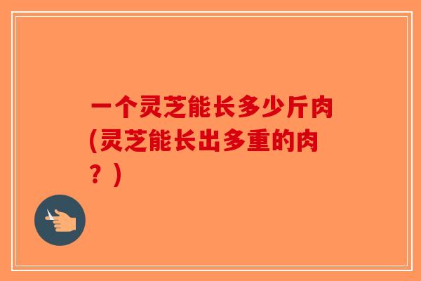 一个灵芝能长多少斤肉(灵芝能长出多重的肉?) 一个灵芝能长多少斤肉(灵芝能长出多重的肉?)
