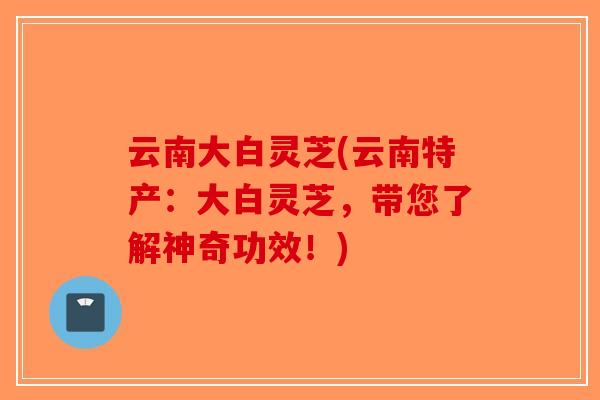云南大白灵芝(云南特产：大白灵芝，带您了解神奇功效！)