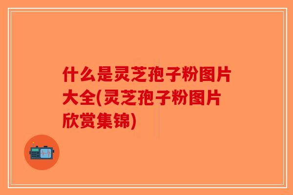什么是灵芝孢子粉图片大全(灵芝孢子粉图片欣赏集锦)