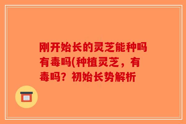 刚开始长的灵芝能种吗有毒吗(种植灵芝,有毒吗?初始长势解析 刚开始长的灵芝能种吗有毒吗(种植灵芝,有毒吗?初始长势解析