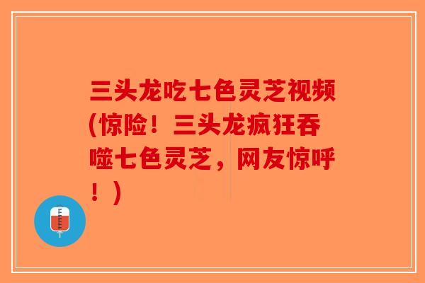 三头龙吃七色灵芝视频(惊险!三头龙疯狂吞噬七色灵芝,网友惊呼!) 三头龙吃七色灵芝视频(惊险!三头龙疯狂吞噬七色灵芝,网友惊呼!)