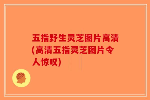 五指野生灵芝图片高清(高清五指灵芝图片令人惊叹)