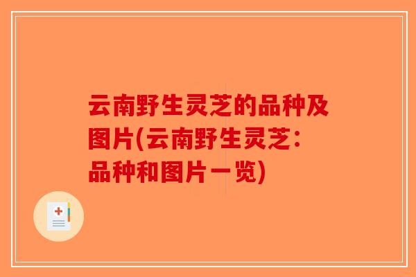 云南野生灵芝的品种及图片(云南野生灵芝：品种和图片一览)
