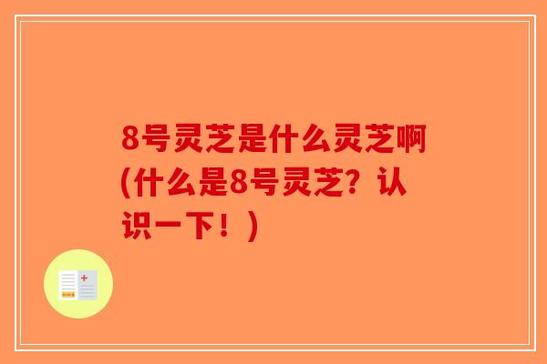 8号灵芝是什么灵芝啊(什么是8号灵芝?认识一下!) 8号灵芝是什么灵芝啊(什么是8号灵芝?认识一下!)