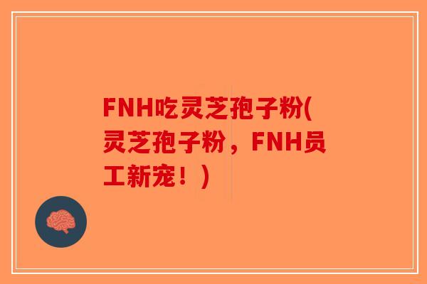 FNH吃灵芝孢子粉(灵芝孢子粉，FNH员工新宠！)