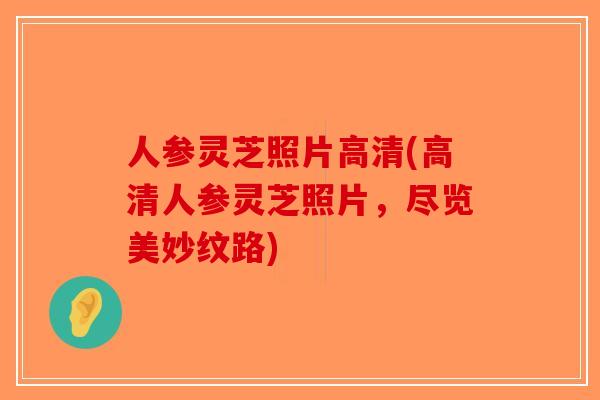 人参灵芝照片高清(高清人参灵芝照片，尽览美妙纹路)