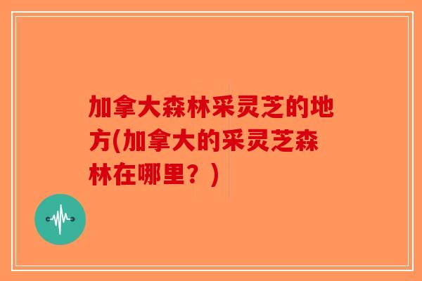 加拿大森林采灵芝的地方(加拿大的采灵芝森林在哪里?) 加拿大森林采灵芝的地方(加拿大的采灵芝森林在哪里?)