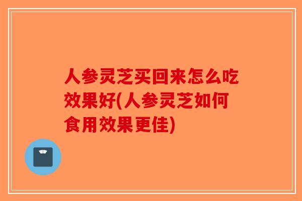 人参灵芝买回来怎么吃效果好(人参灵芝如何食用效果更佳)
