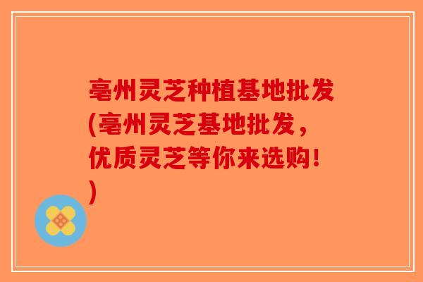 亳州灵芝种植基地批发(亳州灵芝基地批发，优质灵芝等你来选购！)