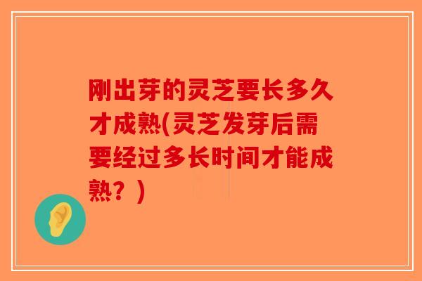 刚出芽的灵芝要长多久才成熟(灵芝发芽后需要经过多长时间才能成熟？)