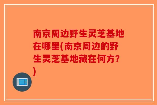 南京周边野生灵芝基地在哪里(南京周边的野生灵芝基地藏在何方？)