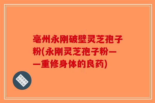 亳州永刚破壁灵芝孢子粉(永刚灵芝孢子粉——重修身体的良药)