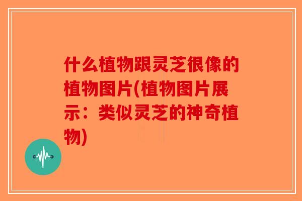 什么植物跟灵芝很像的植物图片(植物图片展示：类似灵芝的神奇植物)