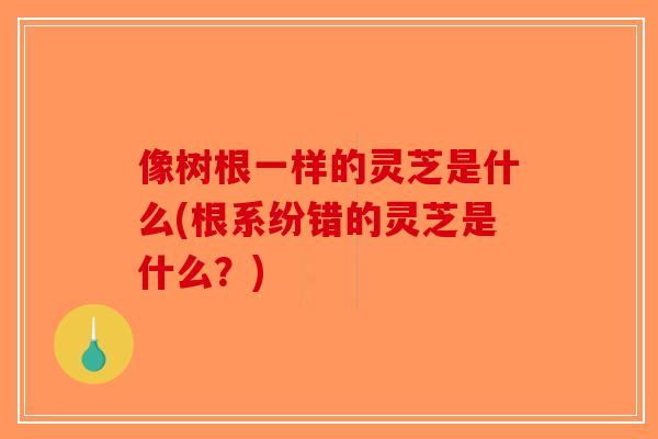 像树根一样的灵芝是什么(根系纷错的灵芝是什么？)