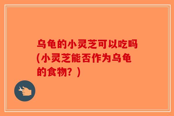 乌龟的小灵芝可以吃吗(小灵芝能否作为乌龟的食物？)