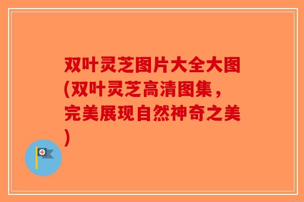 双叶灵芝图片大全大图(双叶灵芝高清图集，完美展现自然神奇之美)