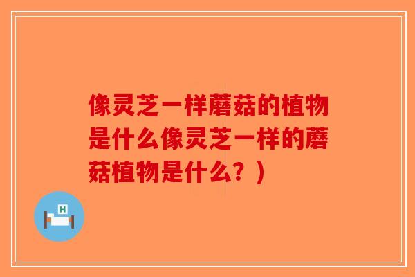 像灵芝一样蘑菇的植物是什么像灵芝一样的蘑菇植物是什么？)