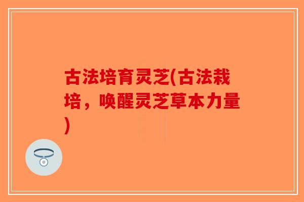 古法培育灵芝(古法栽培，唤醒灵芝草本力量)