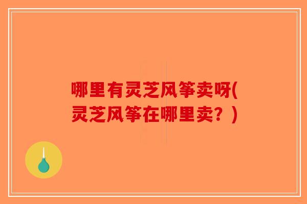 哪里有灵芝风筝卖呀(灵芝风筝在哪里卖？)