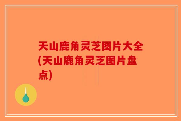 天山鹿角灵芝图片大全(天山鹿角灵芝图片盘点)