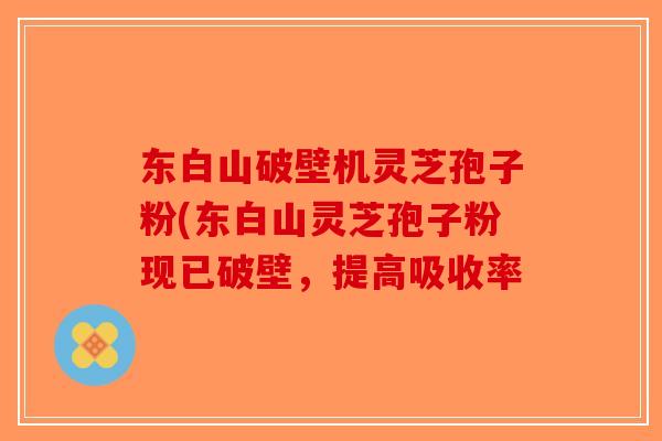 东白山破壁机灵芝孢子粉(东白山灵芝孢子粉现已破壁，提高吸收率
