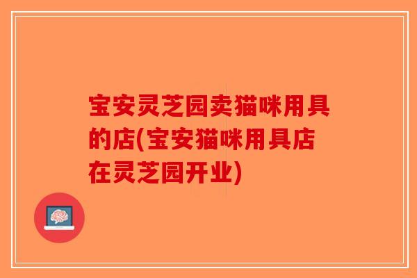 宝安灵芝园卖猫咪用具的店(宝安猫咪用具店在灵芝园开业)