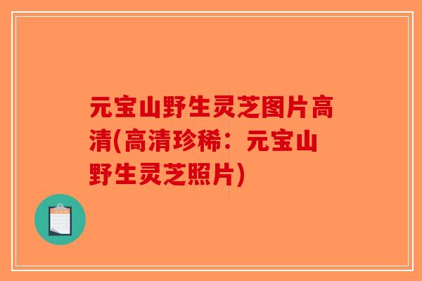 元宝山野生灵芝图片高清(高清珍稀：元宝山野生灵芝照片)