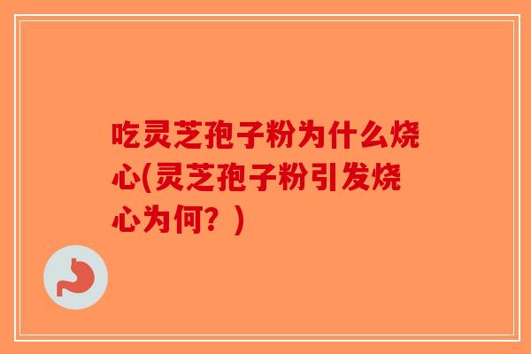 吃灵芝孢子粉为什么烧心(灵芝孢子粉引发烧心为何？)
