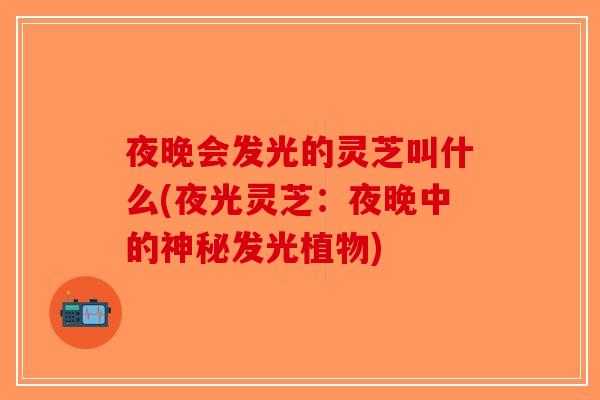 夜晚会发光的灵芝叫什么(夜光灵芝:夜晚中的神秘发光植物) 夜晚会发光的灵芝叫什么(夜光灵芝:夜晚中的神秘发光植物)