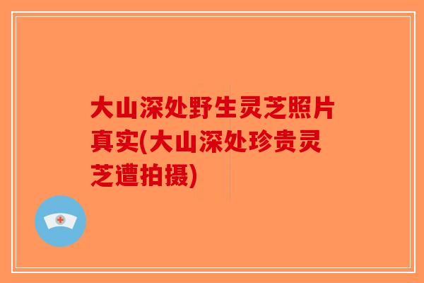大山深处野生灵芝照片真实(大山深处珍贵灵芝遭拍摄)