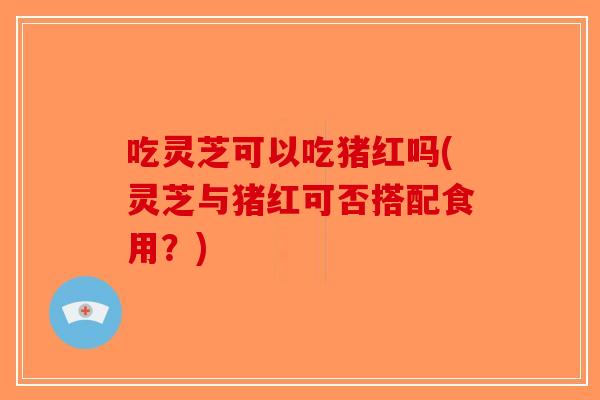 吃灵芝可以吃猪红吗(灵芝与猪红可否搭配食用？)